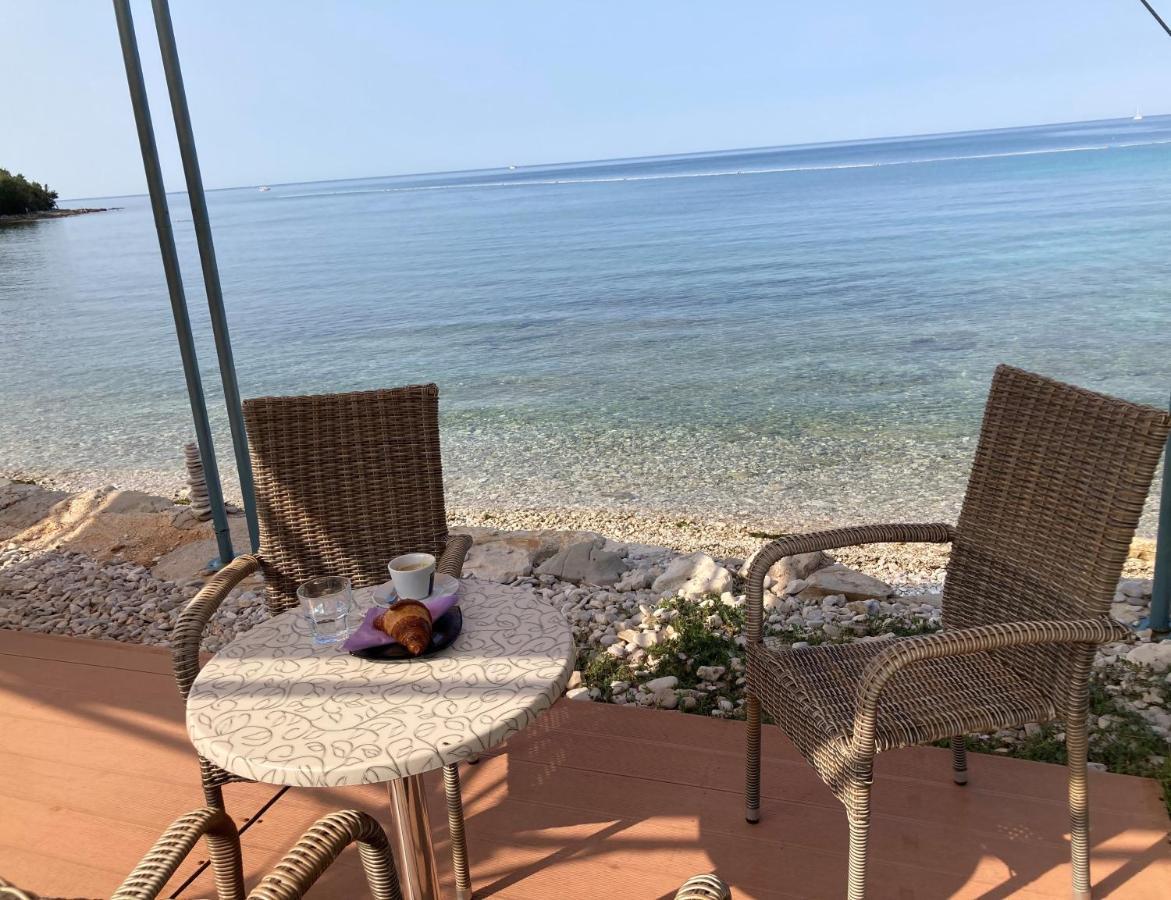 Ferienwohnung Sommer Novigrad Istria 外观 照片