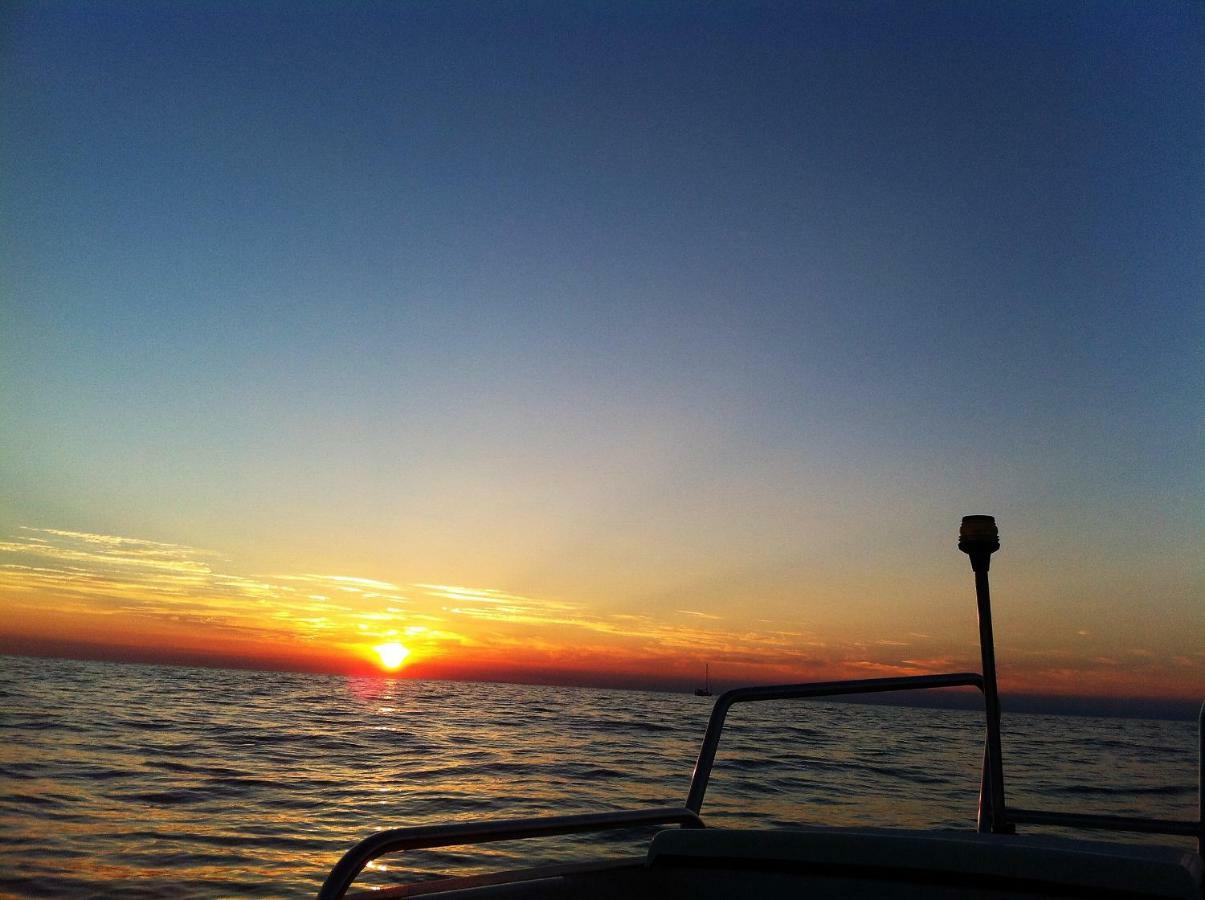 Ferienwohnung Sommer Novigrad Istria 外观 照片